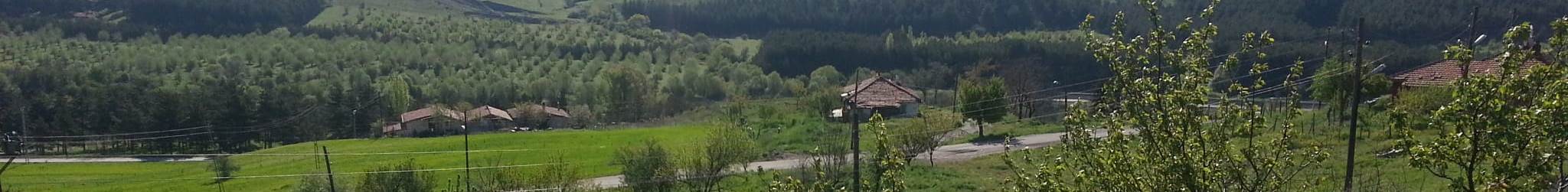           YEŞİLYURT – TAŞLIKÖY